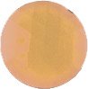 35mm Round Light Amber Faceted Jewel 359-10
