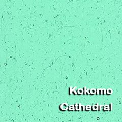 Kokomo Cathedral Glass