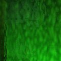 Wissmach Aqualite Cathedral Dark Green AQ320 270x270mm