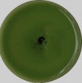 Z Olive Green 60mm Rondel ZR5284