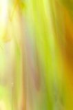 Kokomo Opalescent Amber Green 13 270x270mm