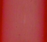 Wissmach Fusible  Dark Red Transparent 96-52 270x270mm