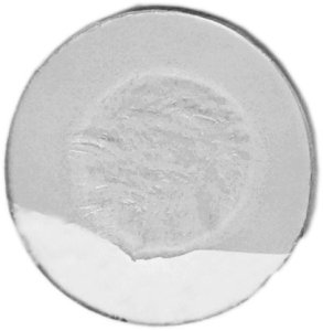 Clear Circle  Glue Chip Bevel 51mm C51GC
